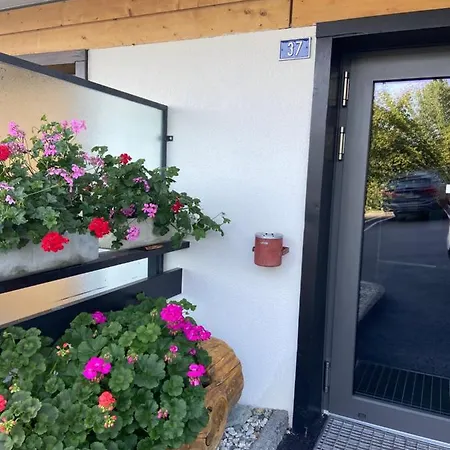 Apartamento Sunny Swiss Mountain In Centre By Jolidi