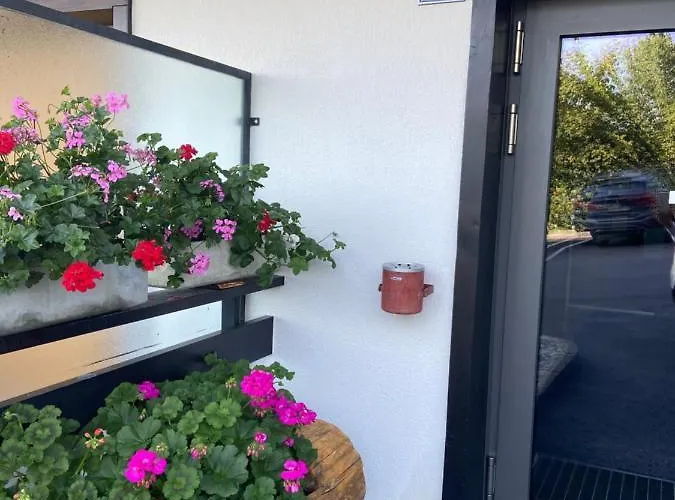 アパート Sunny Swiss Mountain In Centre By Jolidi